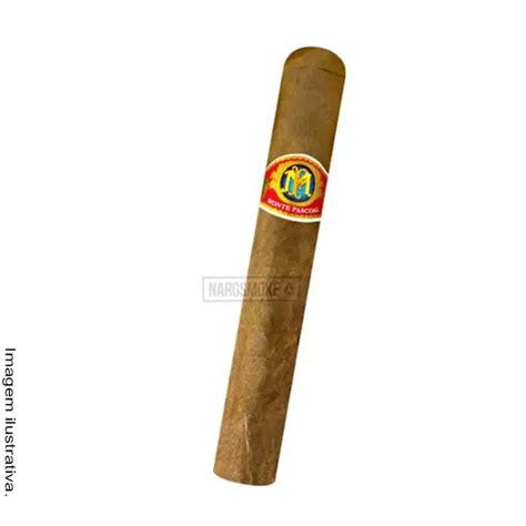 Charuto Monte Pascoal Corona Robusto Tabacaria Nargsmoke