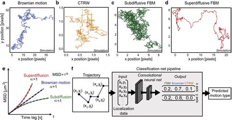 Single Particle Diffusion Characterization By Deep Learning