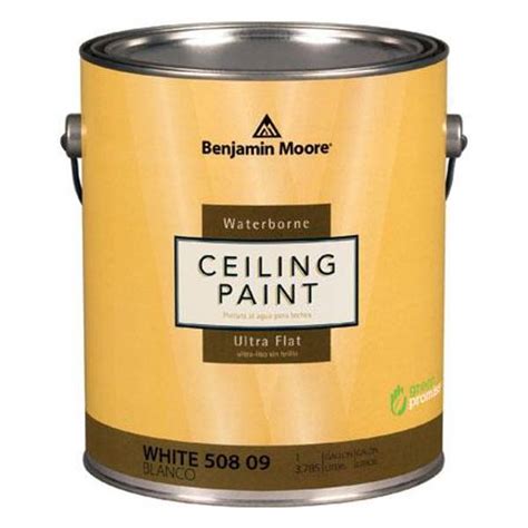 Benjamin Moore 1 Quart Waterborne Ceiling Paint - 050809-004 | Blain's ...