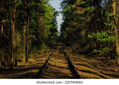 Railway Unused Tracks Images Stock Photos Vectors Shutterstock