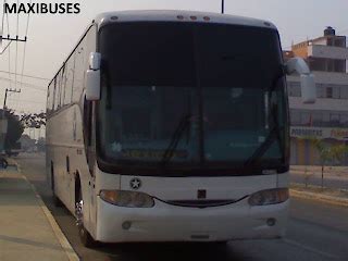 Maxibuses Autobuses Estrella Blanca