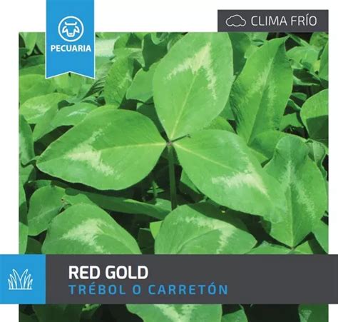 Semilla Forrajes Pastos Trébol Carretón Red Clima Frío 16 Lb Envío gratis