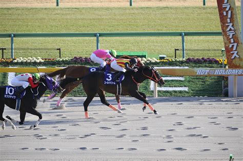 第35回 フェブラリーステークス 過去10年の傾向データ｜gⅠ特集｜競馬情報ならjra Van