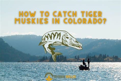 Are There Muskies In Alum Creek Alum Creek Muskie Fishing Guide