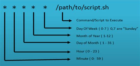 The Beginner S Guide To Using Cron In Linux The Tech Edvocate