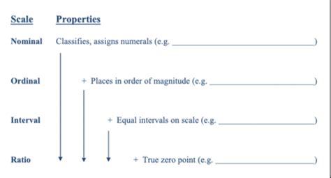 Psych Testing Measurement Flashcards Quizlet