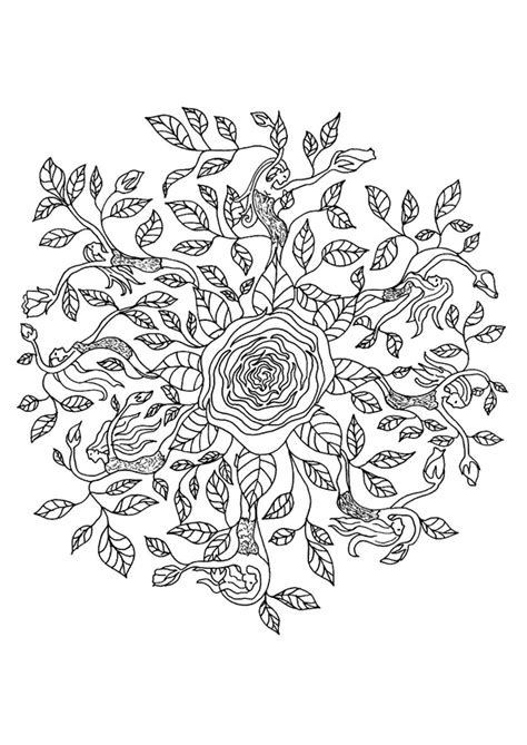 Coloriage Mandala Rose Sur Mio