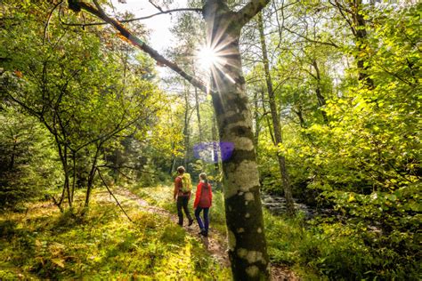 N Rdlicher Schwarzwald Startet Auf Der Cmt Ins Tourismusjahr