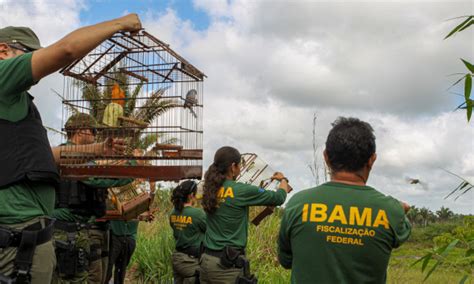 Porque A Biopirataria Deve Ser Combatida Pelo Governo Brasileiro