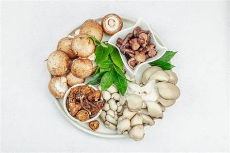 Assortment Of Various Mushrooms Fresh Dried And Pickled Oyster