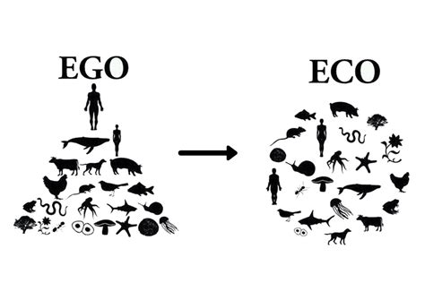 Biocentric Worldview