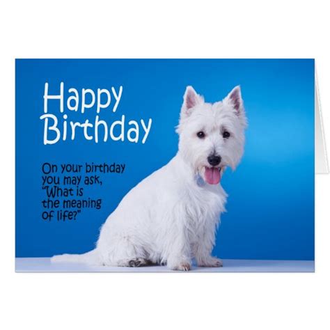 Funny Westie Birthday Card