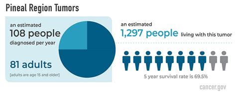 Pineal Region Tumors Diagnosis and Treatment - NCI