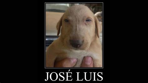 José Luis Video Gallery Know Your Meme