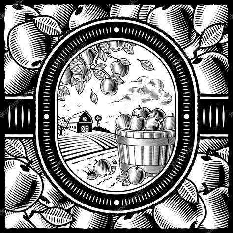 Apple harvest black and white — Stock Vector © iatsun #5086490