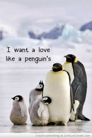 Penguin Love Quotes. QuotesGram