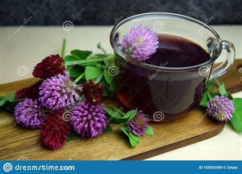 512 Red Clover Tea Stock Photos Free And Royalty Free Stock Photos From