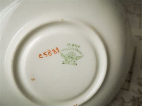 Vintage Plant Tuscan China Teacup And Saucer Furniture Home Living