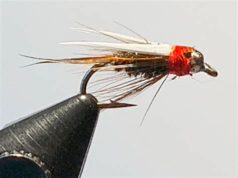 Best Nymph Flies Mayfly Stonefly And Caddis Flies Guidesly