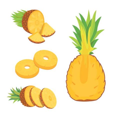 Best Pineapple Slices Illustrations Royalty Free Vector Graphics