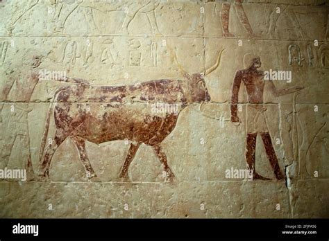 Mastaba tomb egypt hi-res stock photography and images - Alamy