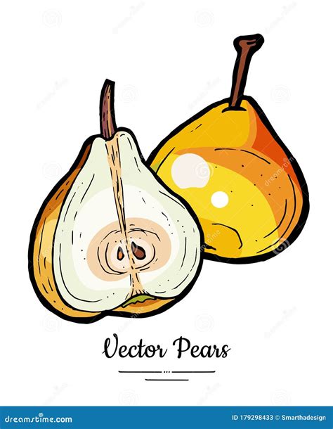 Pears Fruits Vector Isolate Red Pear Whole Chopped Half Cut Slice Hand