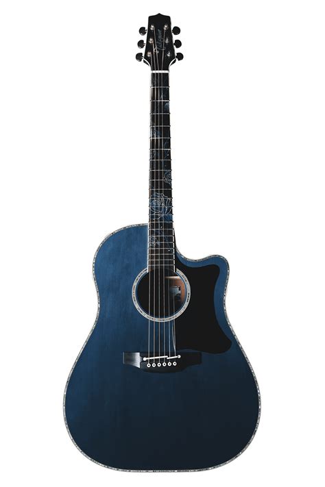 takamine guitars worldwide