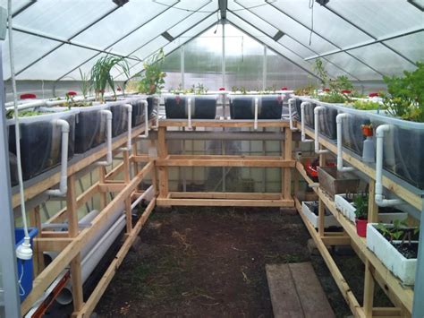 Aquaponics Greenhouse Aquaponics Fish Aquaponic Gardening Aquaponics