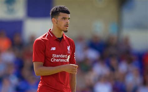 What Does The Future Hold At Liverpool For Dominic Solanke? - The ...