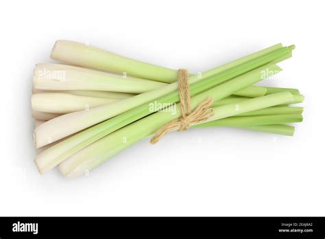 Fresh Lemongrass Isolated On White Background With Clipping Path And