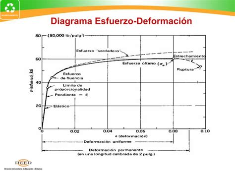 Semana 1 Elasticidad PPT