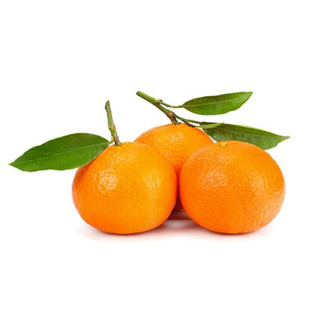 Acquista Online Pianta Di Mandarino Precoce Citrus Reticulata In