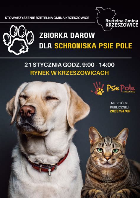 Zbiórka darów dla schroniska Psie Pole Magazyn Krzeszowicki