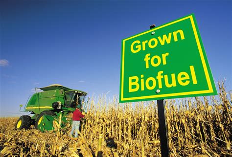 The Pros and Cons of Biofuels