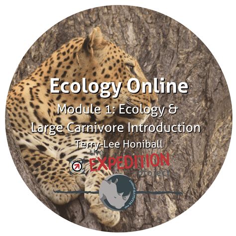 Ecology And Large Carnivore Introduction Ecology Online The