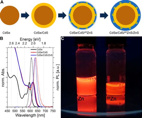 Bjnano Synthesis Of Radioactively Labelled Cdse Cds Zns Quantum Dots For In Vivo Experiments