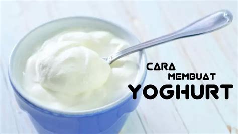 Cara Membuat Yoghurt Youtube