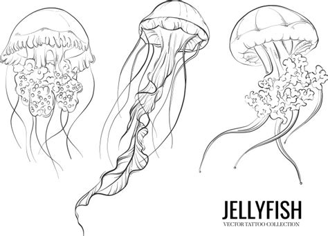 Outline Jellyfish Vector Images (over 3,700)