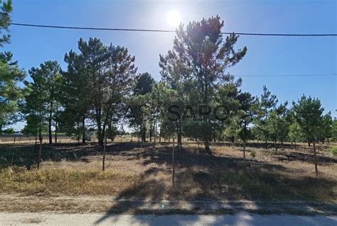 Terreno Rústico Venda 100 000 em Palmela Pinhal Novo CASA SAPO