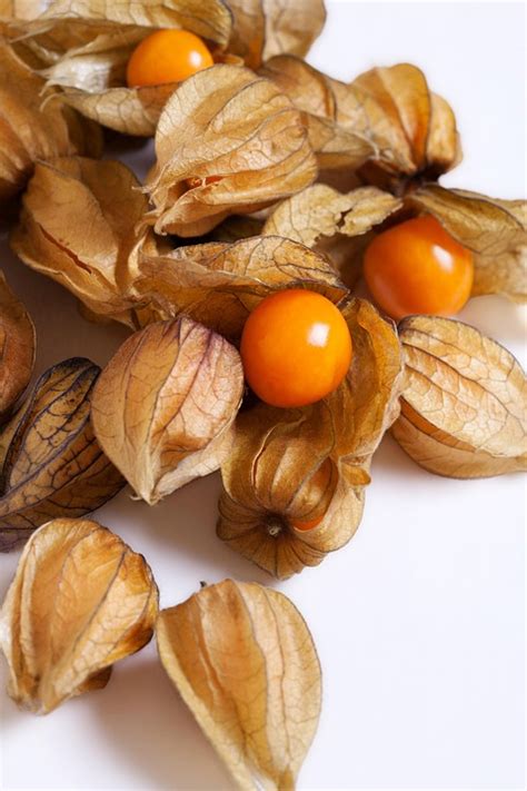 Physalis Petits Comestibles Photo Gratuite Sur Pixabay