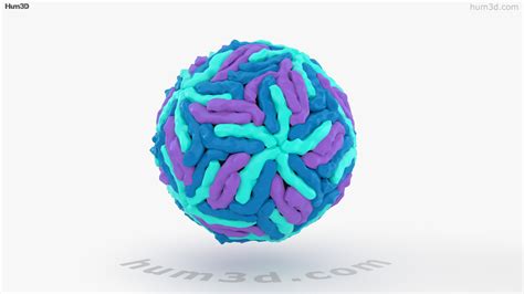 360 View Of Dengue Virus 3d Model Hum3d Store