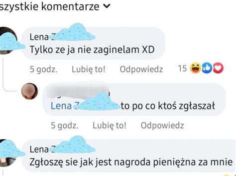 Zagin A Letnia Lena Godz Zg Oszenia Czytlenik W Raport Z