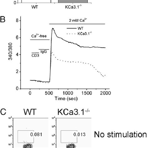 Decreased Tcr Stimulated Ca Flux And Cytokine Production In Kca