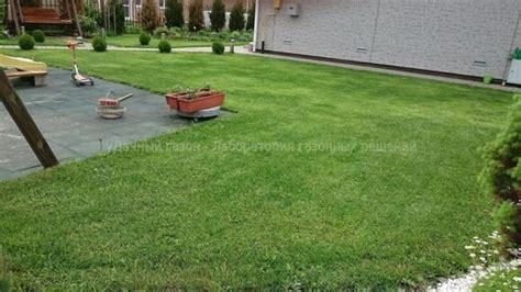 Стрижка газона в Санкт-Петербурге | Цена за сотку (м2)