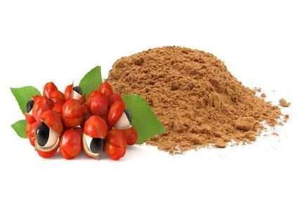 Organic Guarana Powder Vitanics Bio