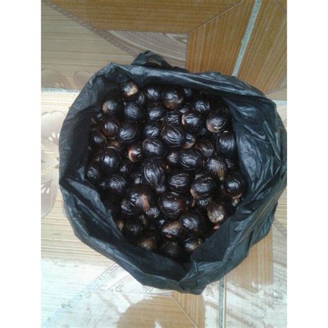 Jual Biji Pala Siap Semai 1 Kg Shopee Indonesia