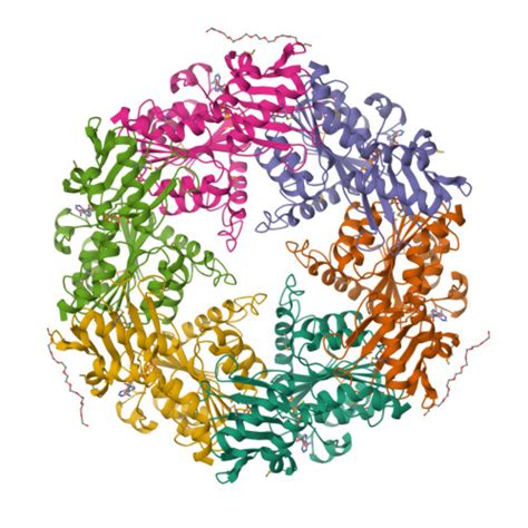 RCSB PDB 1NLY Crystal Structure Of The Traffic ATPase Of The