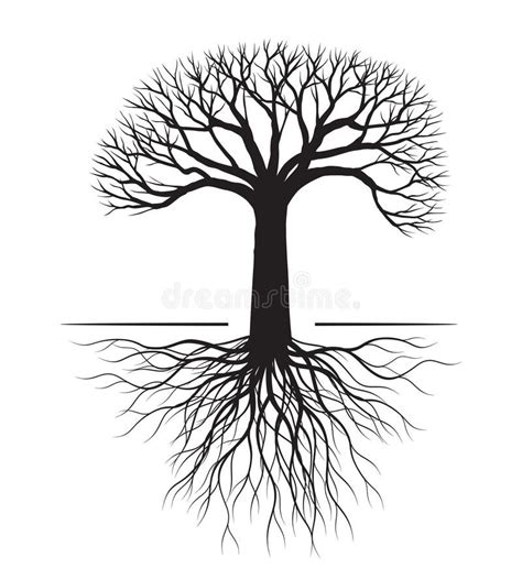 Tree Roots Outline Stock Illustrations 1 786 Tree Roots Outline Stock