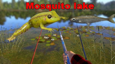 Russian Fishing 4 Mosquito Lake Bleak Frog Rf4 Spot 51 YouTube