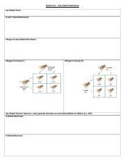 14 6 2 Chapter Diagrams Handout Docx Section 6 2 Sex Linked